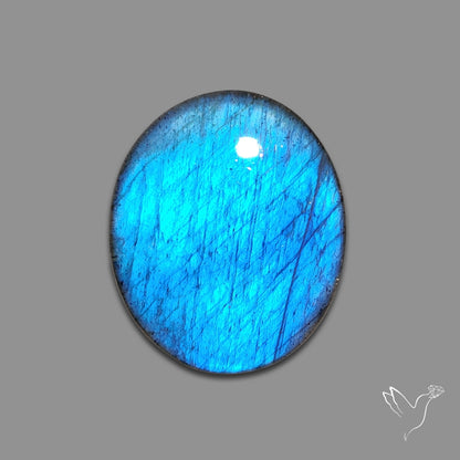 Buy Deep Blue Labradorite Cabochon N46485 Online at GemstonesForSale