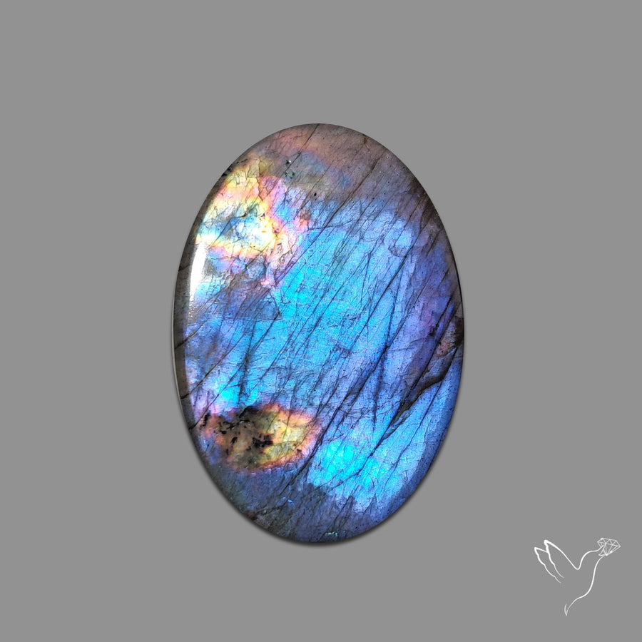 Electric Blue Spectrolite Cabochon