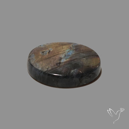 Rainbow Spectrolite Cabochon