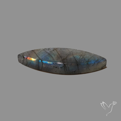 Rainbow Spectrolite Cabochon