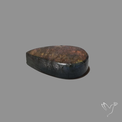Rainbow Spectrolite Cabochon