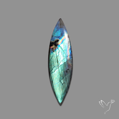 Buy Sea Green Spectrolite Cabochon N46556 Online at GemstonesForSale