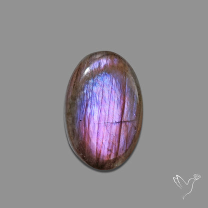 Buy Purple Labradorite Cabochon N46591 Online at GemstonesForSale
