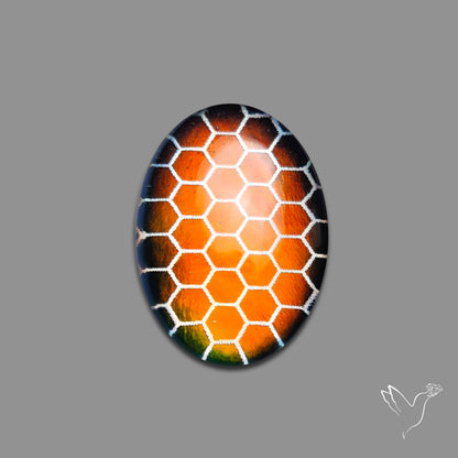 Buy Aurora Opal Honeycomb Inlay Doublet N46624 Online at GemstonesForSale