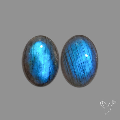Buy Deep Blue Labradorites Pair N46664 Online at GemstonesForSale