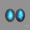 Buy Deep Blue Labradorites Pair N46665 Online at GemstonesForSale
