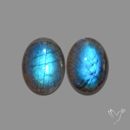 Buy Deep Blue Labradorites Pair N46665 Online at GemstonesForSale