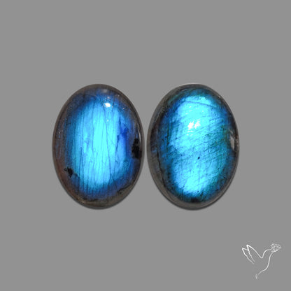 Buy Deep Blue Labradorites Pair N46667 Online at GemstonesForSale