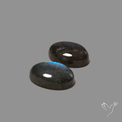 Blue Labradorites Pair