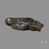Blue Labradorites Owl with Skull Carving Precision Handcarved