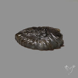 Purple Labradorites Demon Face Carving Precision Handcarved