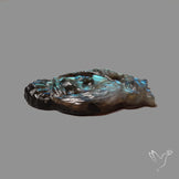 Blue Labradorites Owl with Skull Carving Precision Handcarved