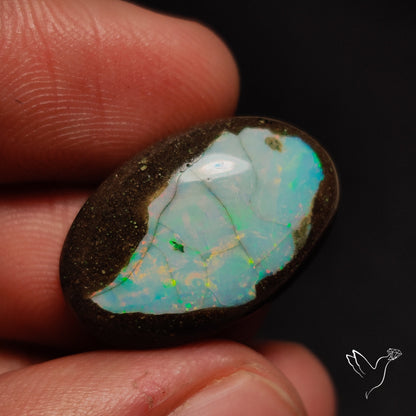 Galaxy Inlay Opal in Matrix