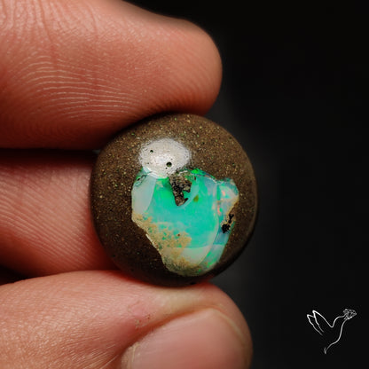 Galaxy Inlay Opal in Matrix