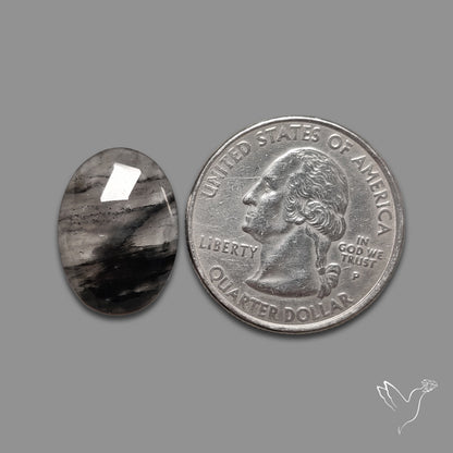 Rose Cut Black Diopside in Quartz