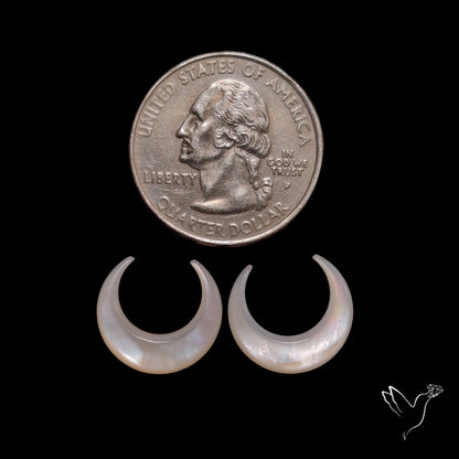 Mother Of Pearl Horn Crescents Pair White