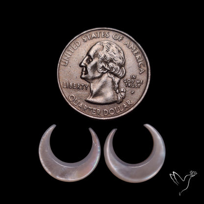 Mother Of Pearl Horn Crescents Pair White