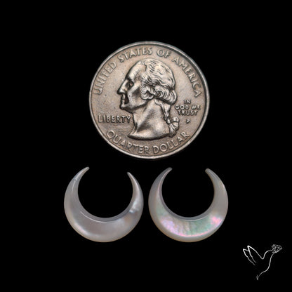 Mother Of Pearl Horn Crescents Pair White