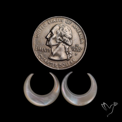 Mother Of Pearl Horn Crescents Pair White