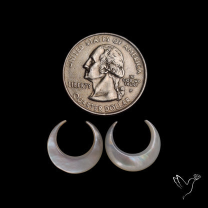 Mother Of Pearl Horn Crescents Pair White