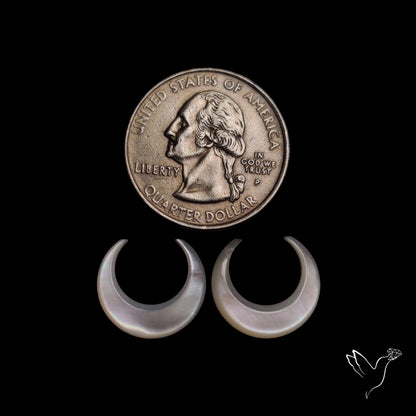 Mother Of Pearl Horn Crescents Pair White