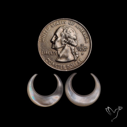 Mother Of Pearl Horn Crescents Pair White