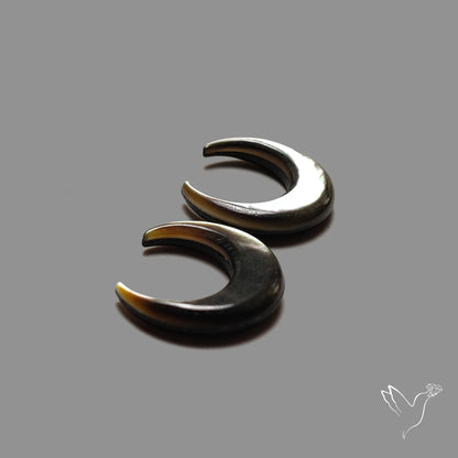 Tahitian Black Mother Of Pearl Crescents Pair
