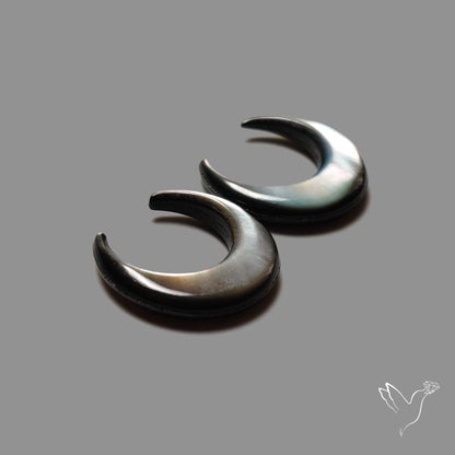 Tahitian Black Mother Of Pearl Crescents Pair