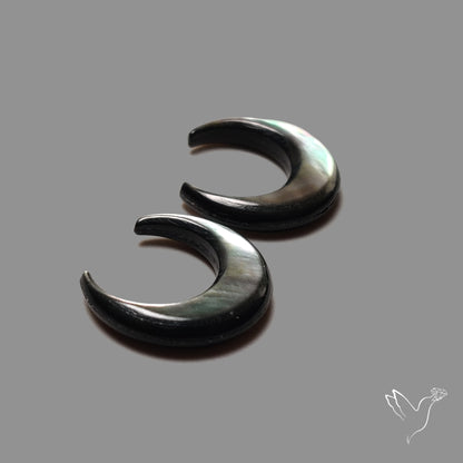 Tahitian Black Mother Of Pearl Crescents Pair