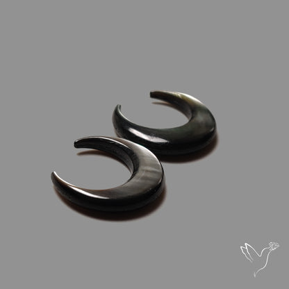 Tahitian Black Mother Of Pearl Crescents Pair