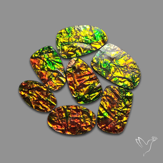 Buy Manmade Ammolites Lot N46757 Online at GemstonesForSale