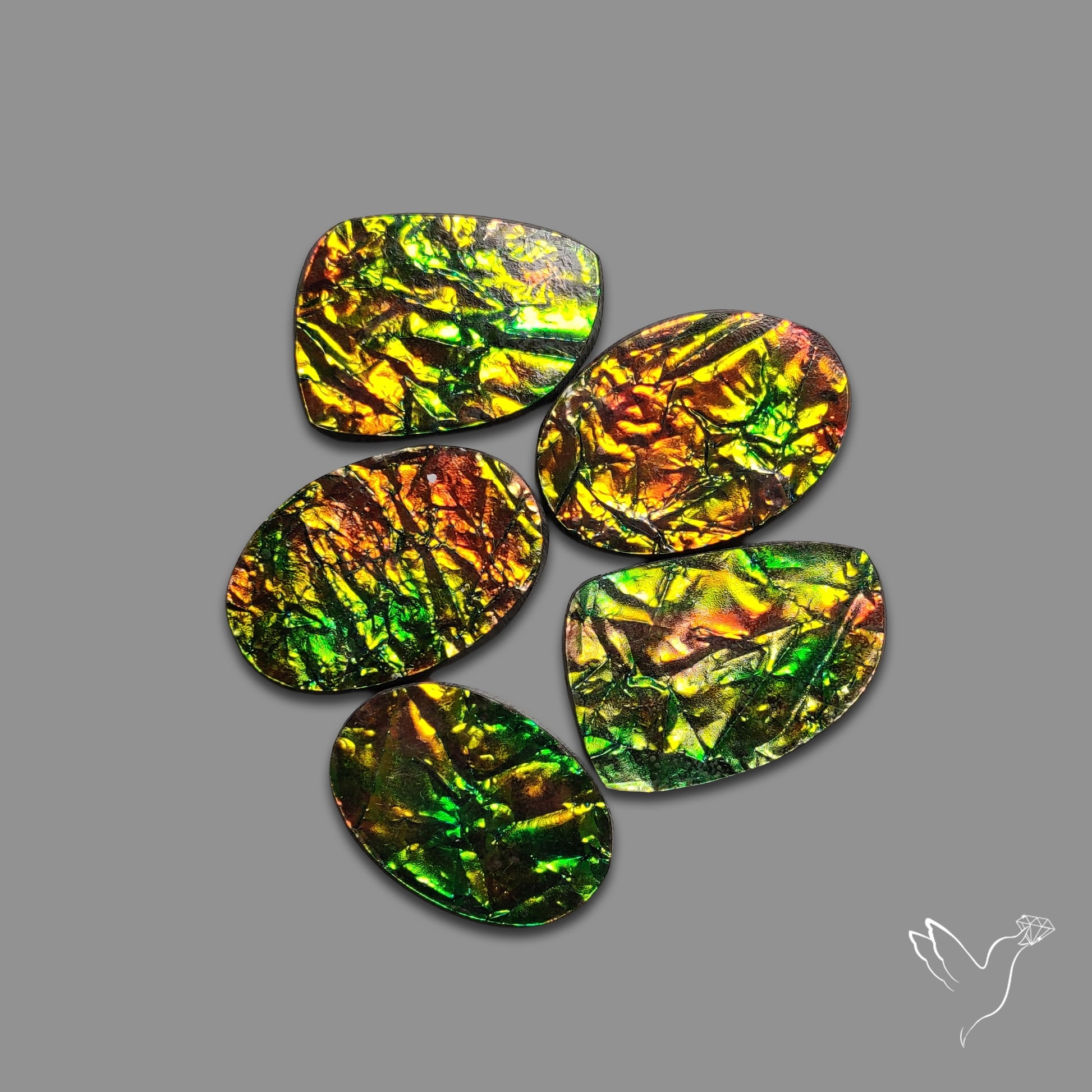 Buy Manmade Ammolites Lot N46758 Online at GemstonesForSale