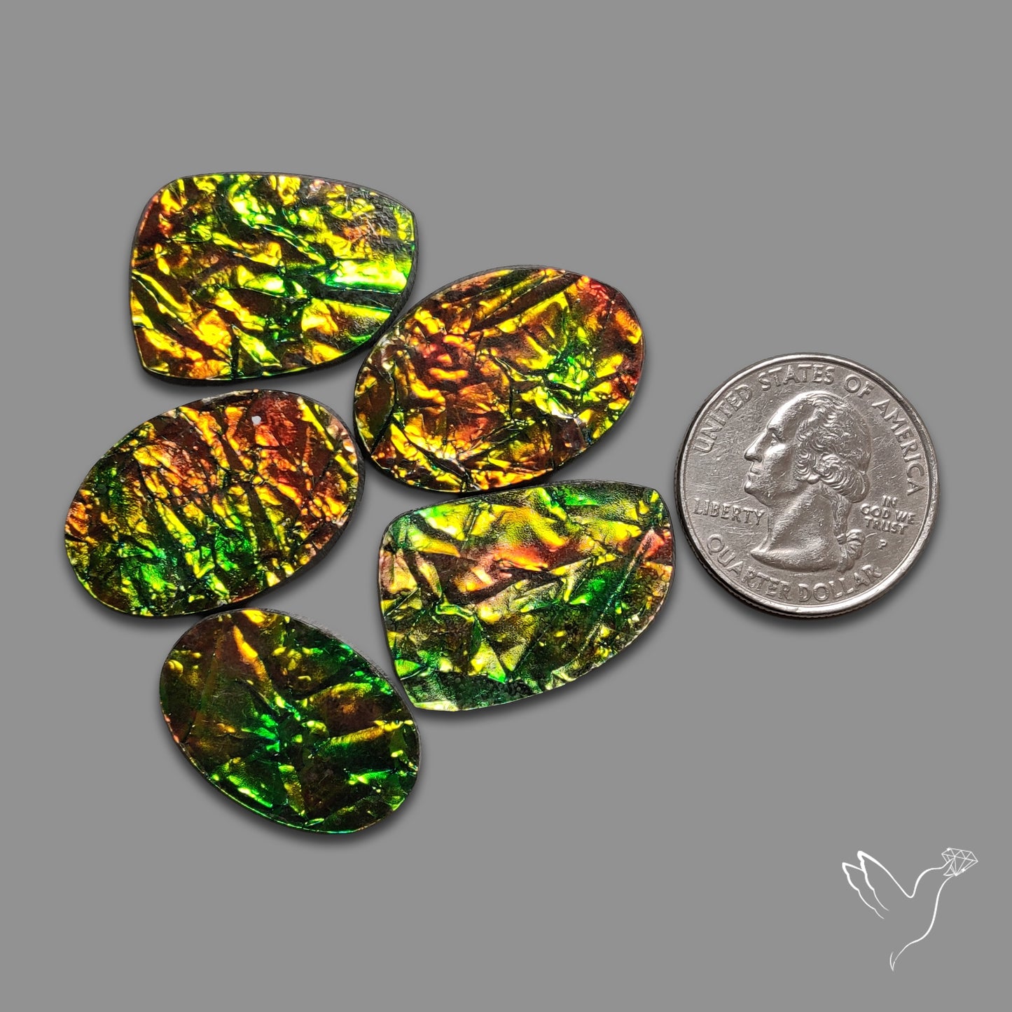 Manmade Ammolites Lot