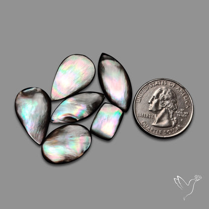 Rainbow Tahitian Black Mother Of Pearl Cabochons Lot
