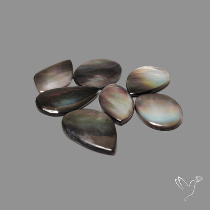 Rainbow Tahitian Black Mother Of Pearl Cabochons Lot