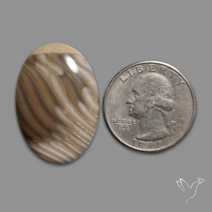 Flint Stone Cabochon