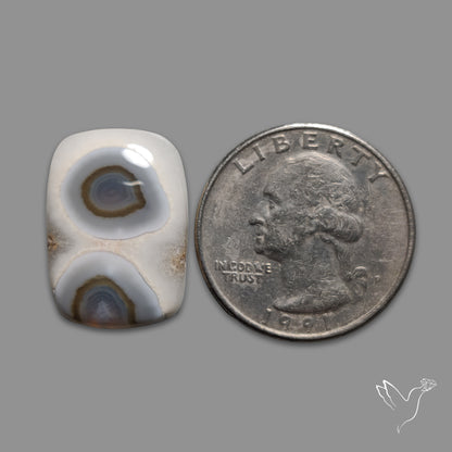Solar Eye Quartz Cabochon