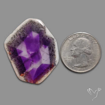 Super Seven Trapiche Amethyst Slice