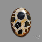 Black Septarian Cabochon