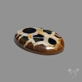 Black Septarian Cabochon