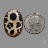 Black Septarian Cabochon