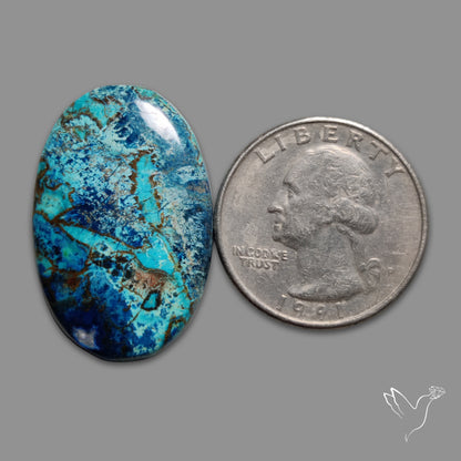 Shattuckite Cabochon