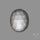 Rose Cut White Moonstone