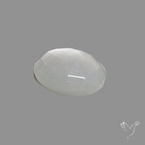 Rose Cut White Moonstone