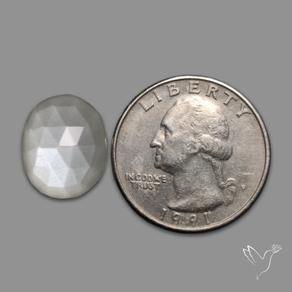 Rose Cut White Moonstone
