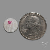 Rare Spinel In Quartz Raw Faced