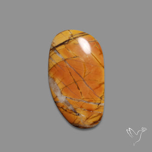Cherry Creek Jasper Cabochon