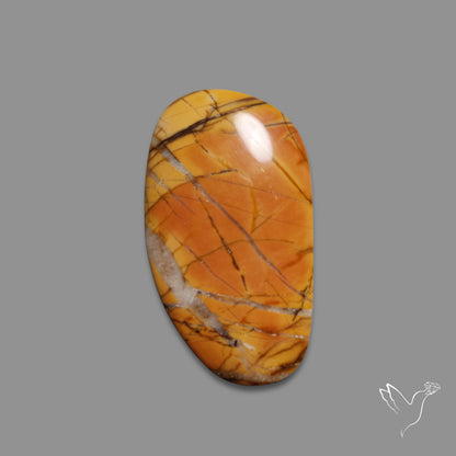 Cherry Creek Jasper Cabochon
