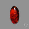 Baltic Amber Cabochon