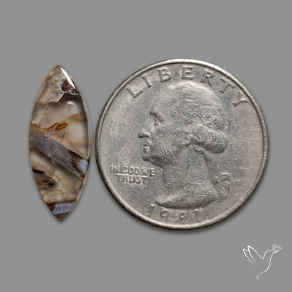 Turkish Tube Agate Cabochon